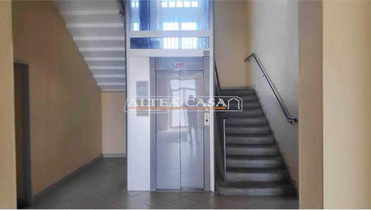 INGRESSO